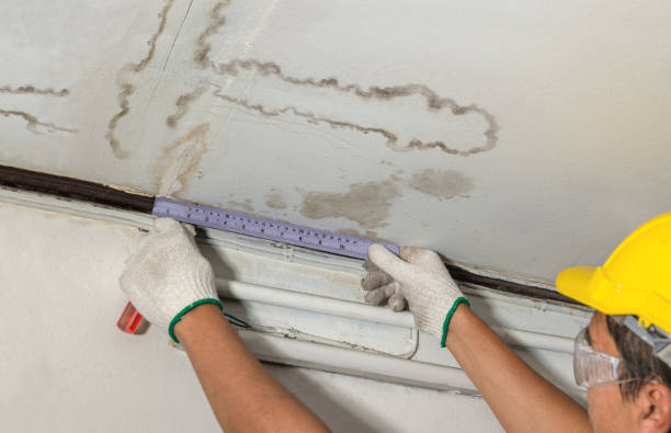 Affordable Water Damage Repair solutions in Bourneville, OH